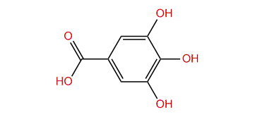 3,4,5-Trihydroxybenzoic acid